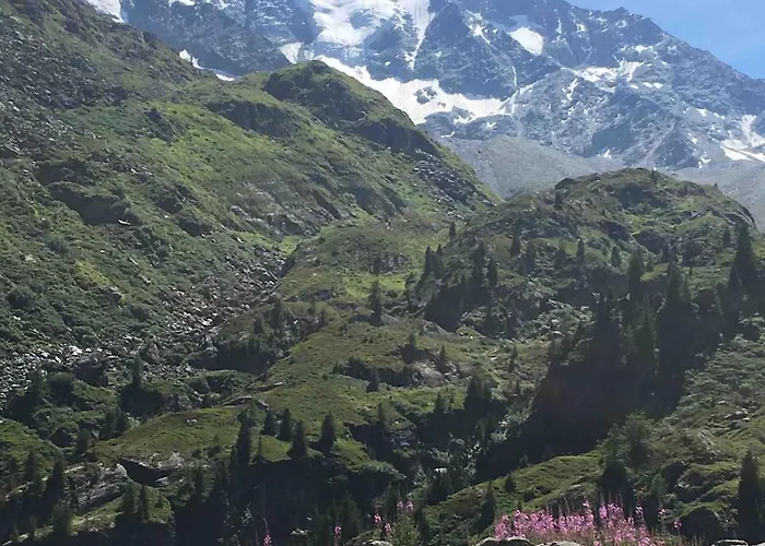 With Stunning Views, Ideally Located, Deer Nearby, Ideal For Families, Not Suitable For Groups Chalet