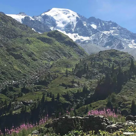 With Stunning Views, Ideally Located, Deer Nearby, Ideal For Families, Not Suitable For Groups Alpstuga